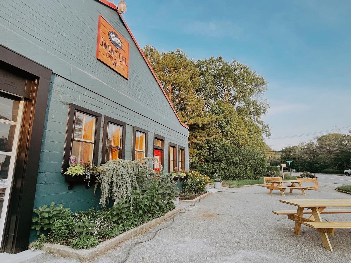 A Coffee Lover’s Guide to Cape Cod: Snowy Owl in Brewster, Chatham & Sandwich