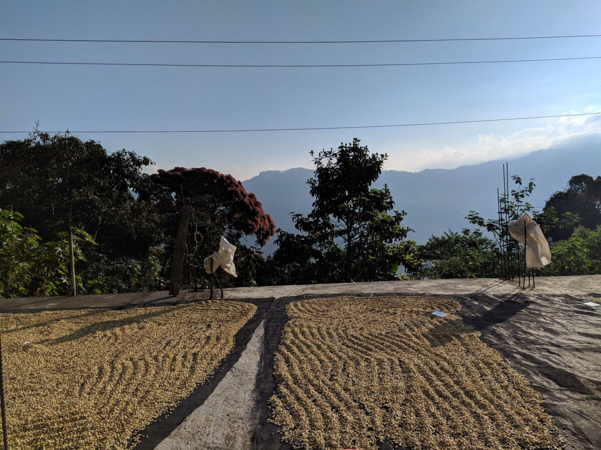 México Oaxaca: Cerro La Bruja