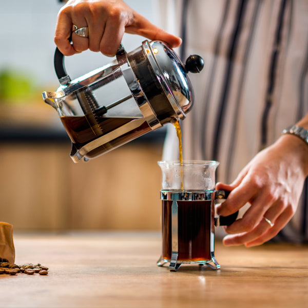 Fresh French press coffee service at Snowy Owl Coffee Roasters' Cape Cod cafes, showcasing our artisanal brewing methods and specialty-grade beans roasted daily in Brewster.
