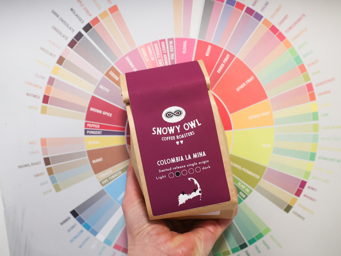Roast Date on Coffee Bags: What It Really Means