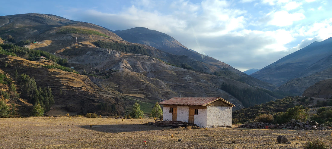 Navigating Rising Coffee Costs Together