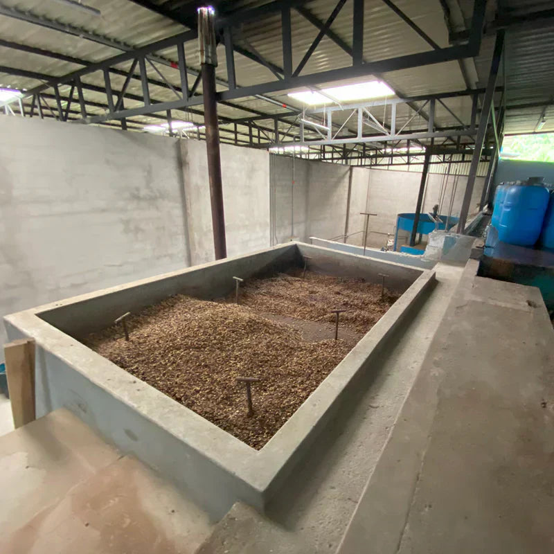 Not All Decaf Is Equal: Why Process Makes the Difference