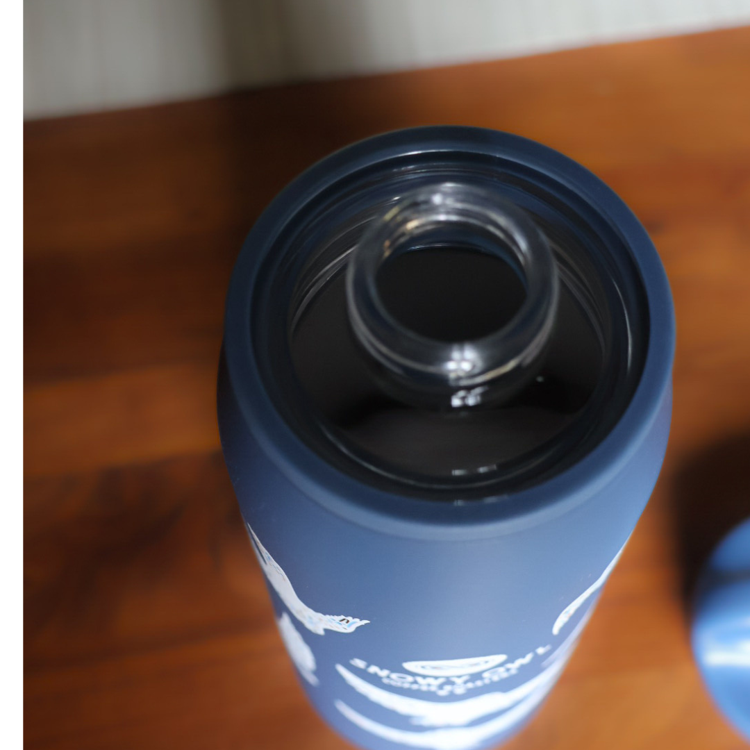 26oz Wander Bottle: Soaring Owls
