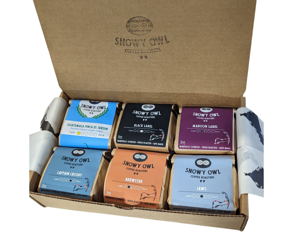 6 Sample Bag Gift Pack