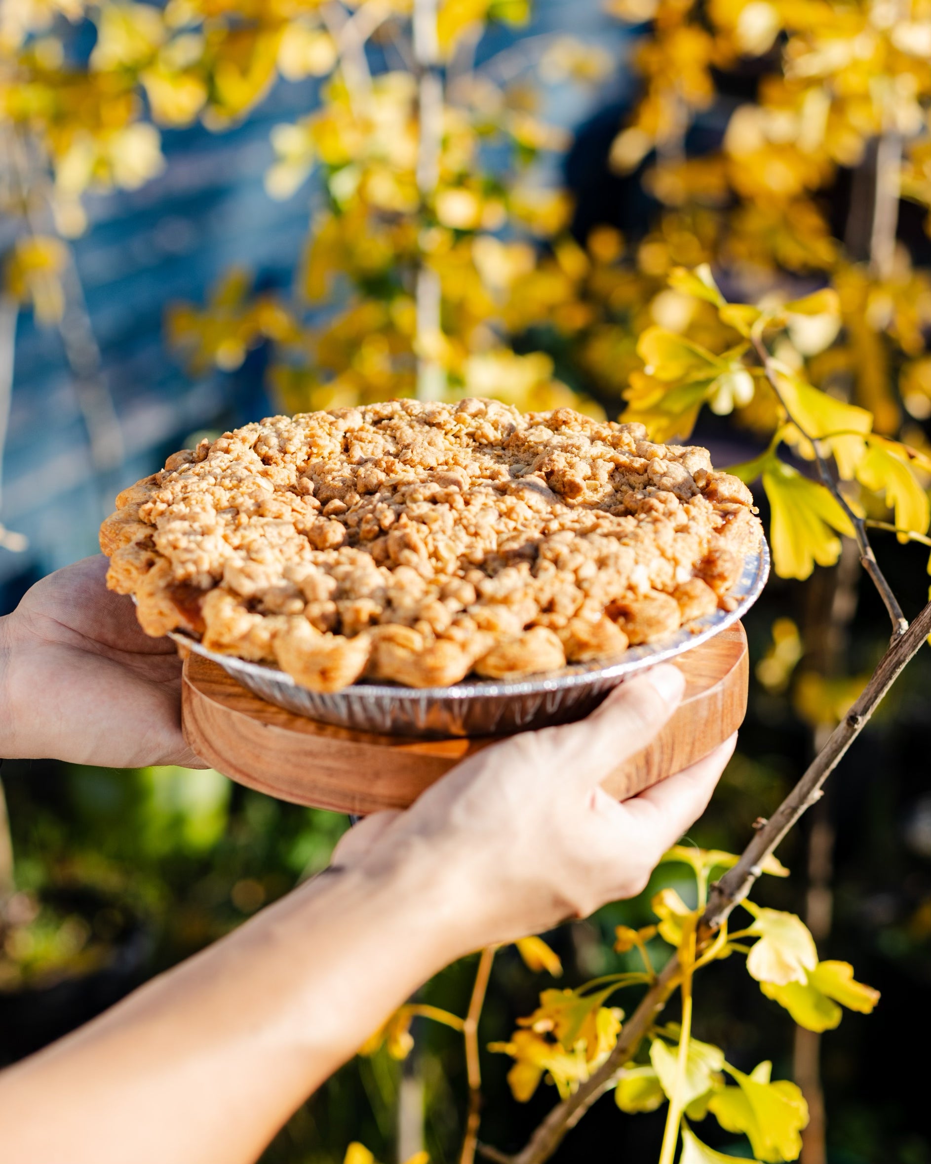 Thanksgiving Pies