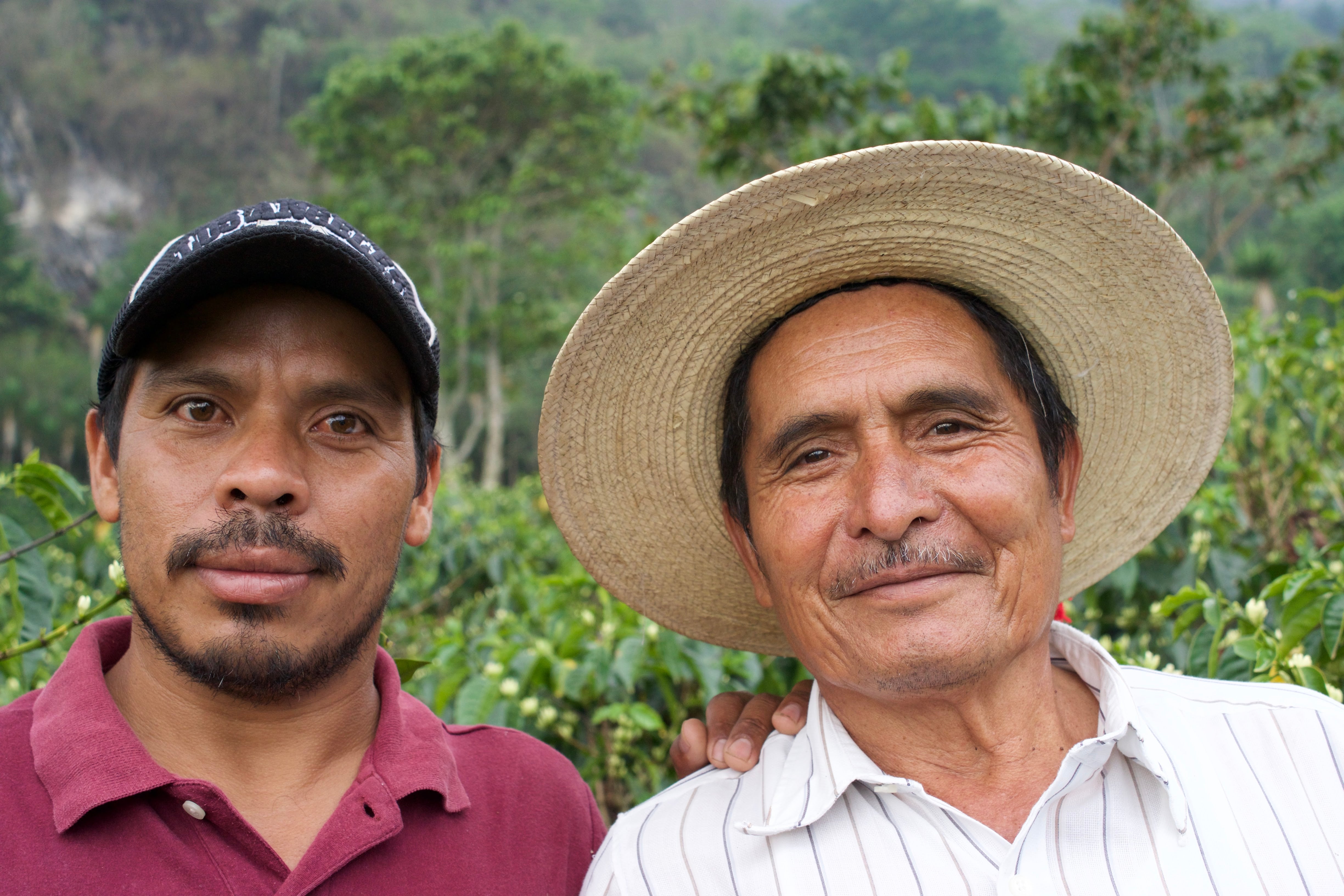 Guatemala: Los Dos Socios