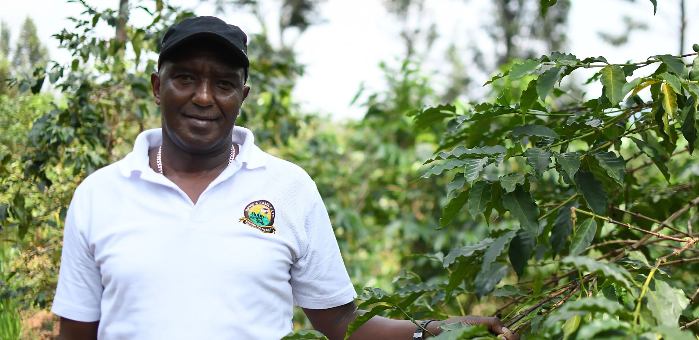 Rwanda Huye Mountain Natural