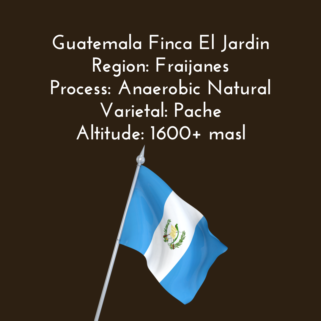 Guatemala Finca El Jardin