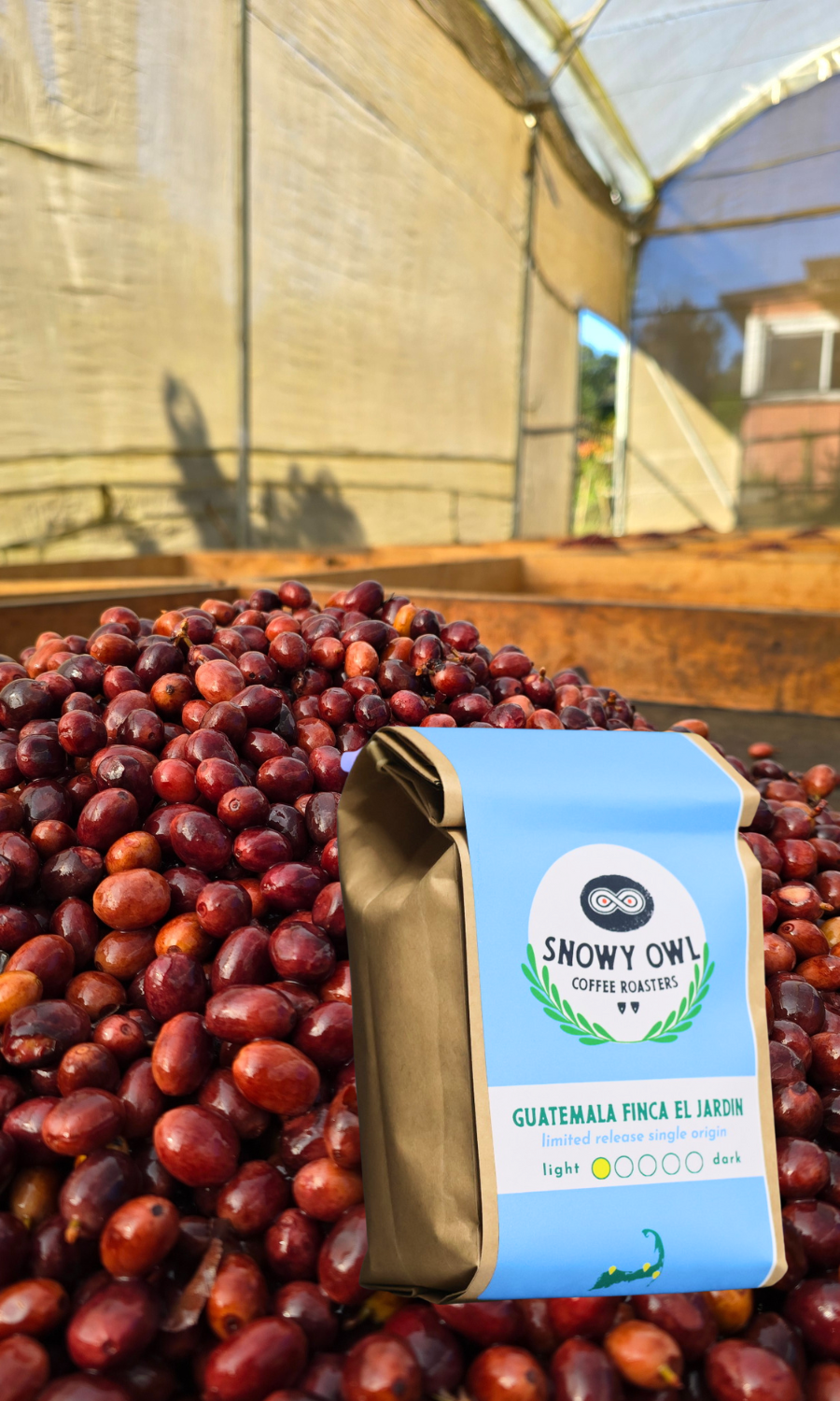 Snowy Owl Coffee Roasters