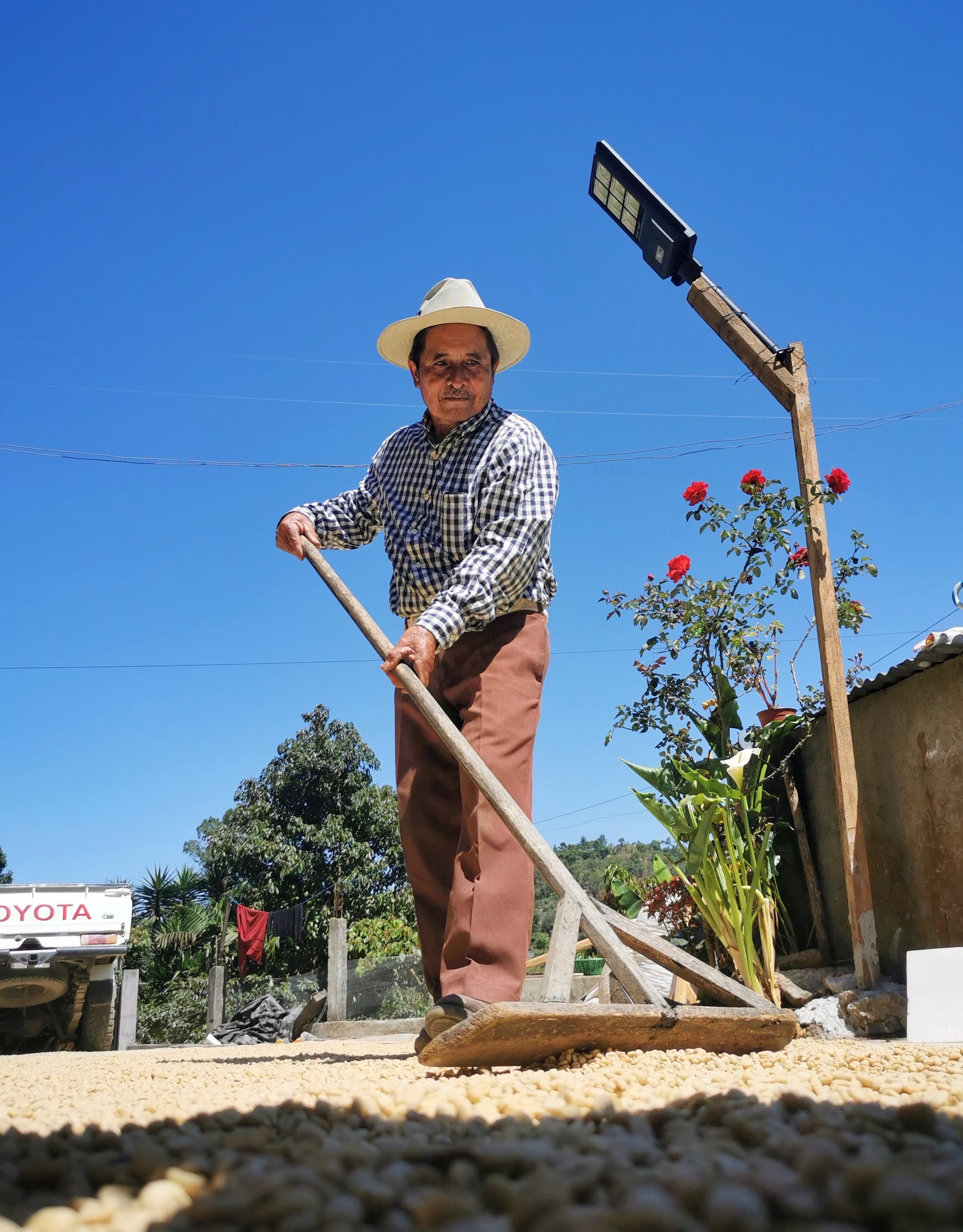 Guatemala Los Dos Socios