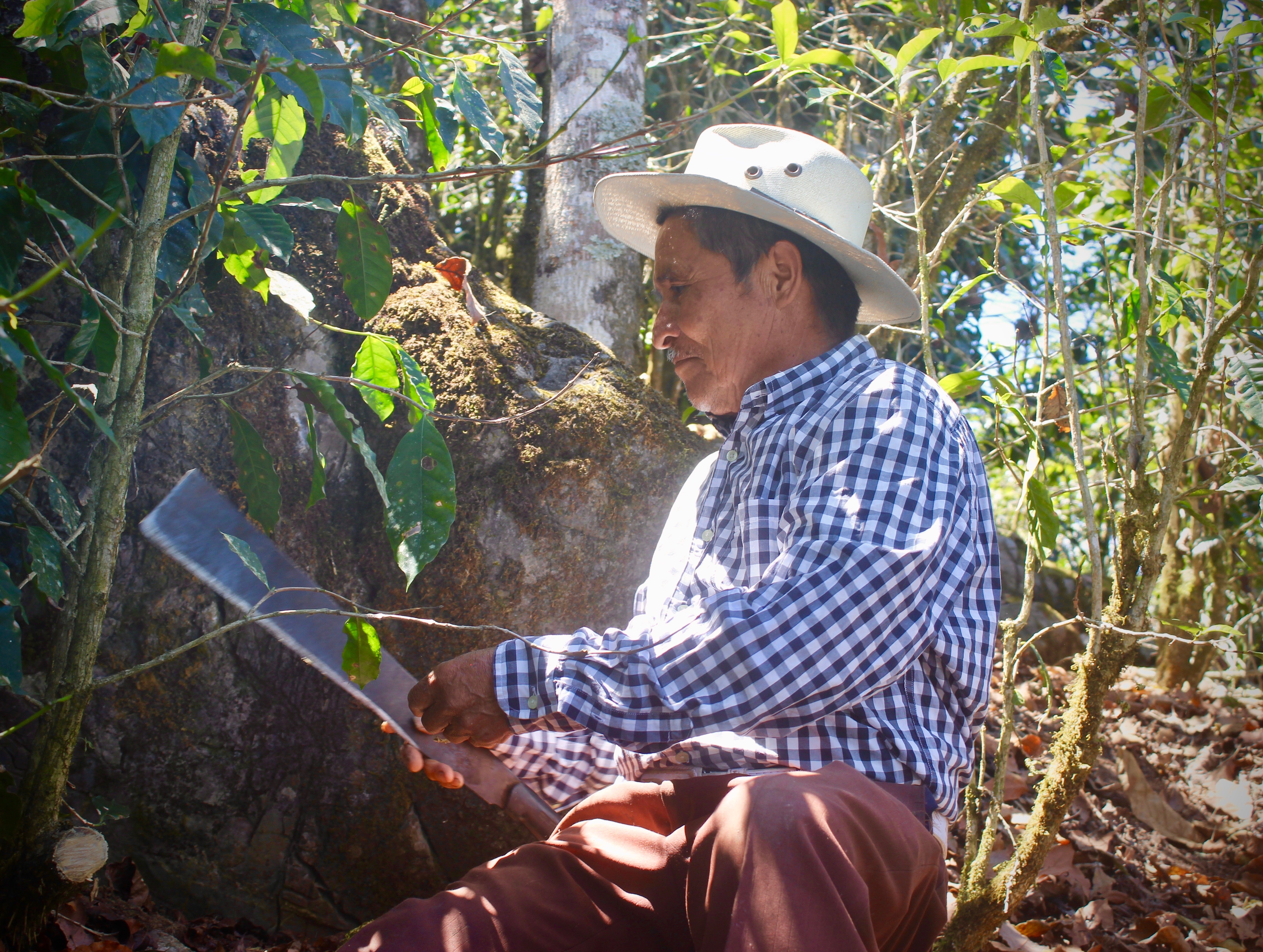 Guatemala: Los Dos Socios