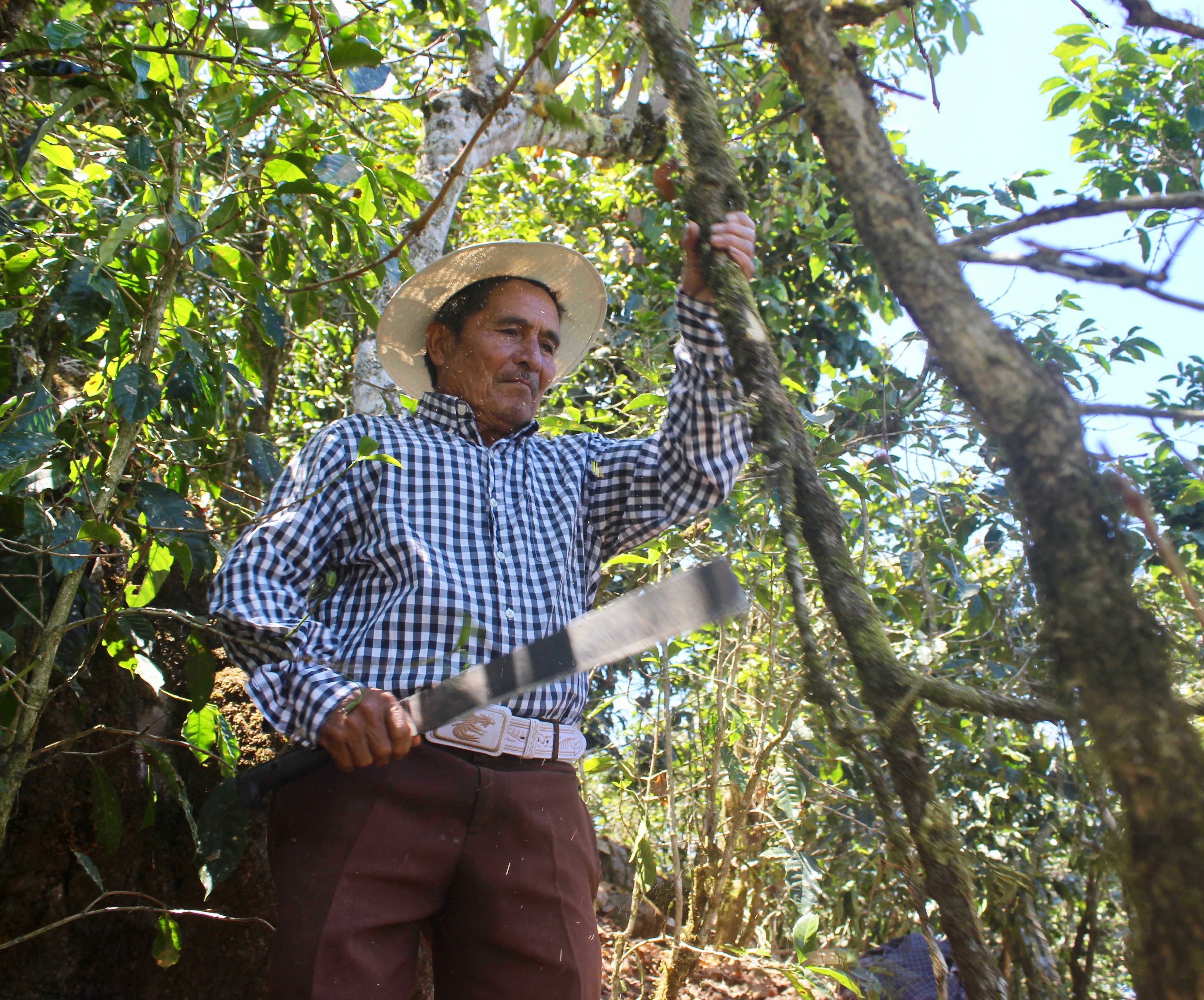 Guatemala: Los Dos Socios