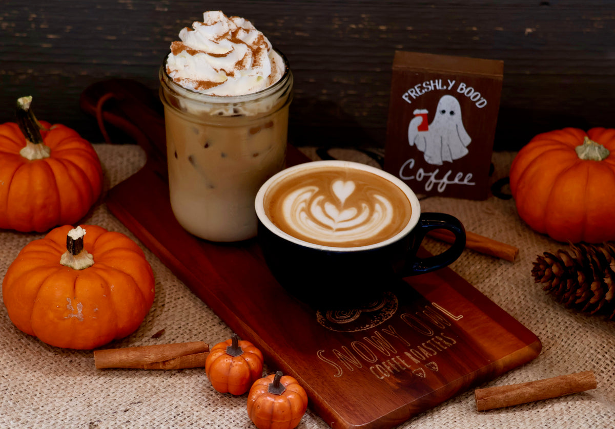 Snowy Owl Coffee Roasters