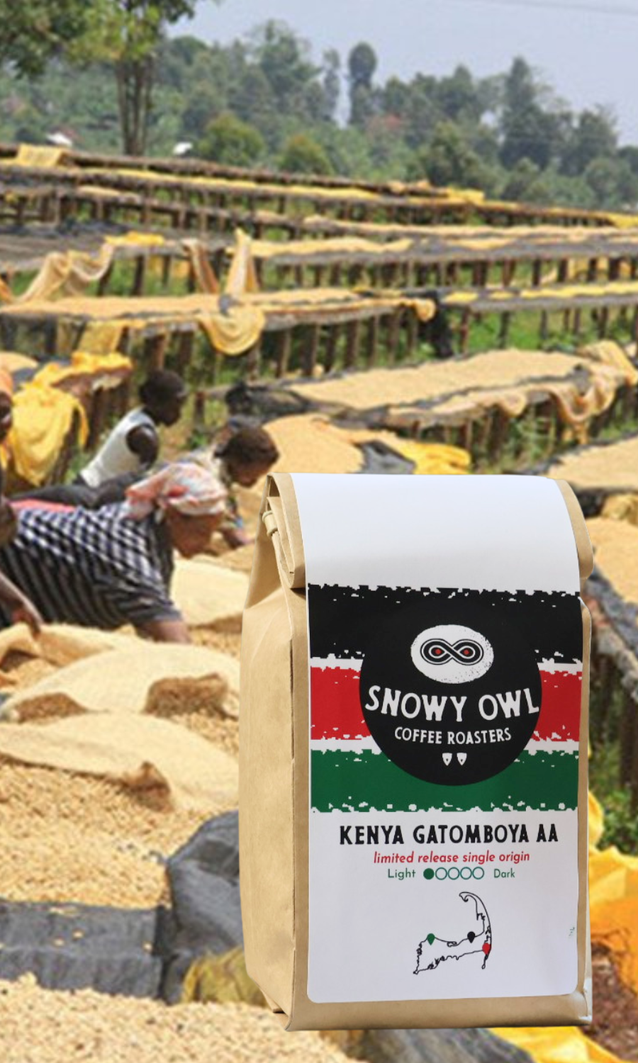 Snowy Owl Coffee Roasters