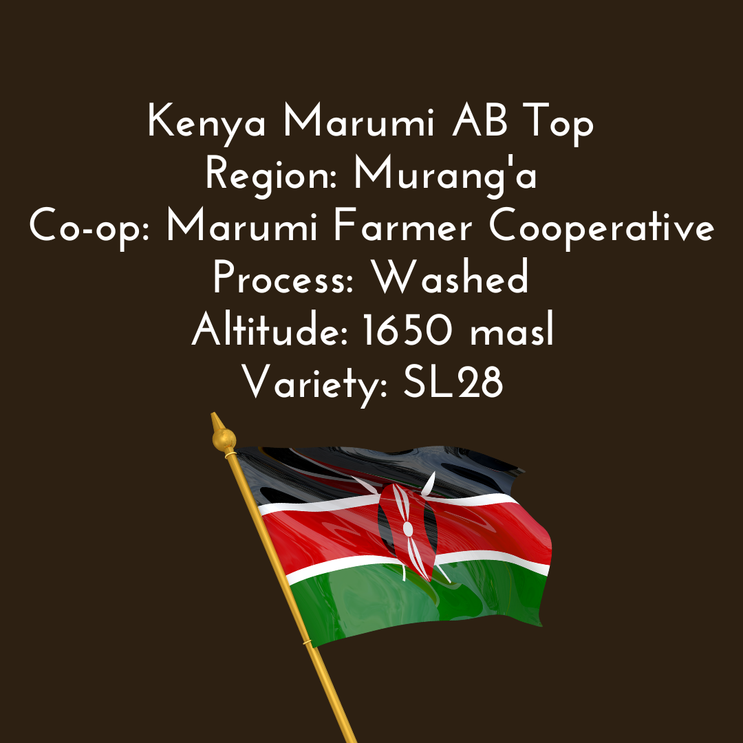 Kenya Marumi AB Top