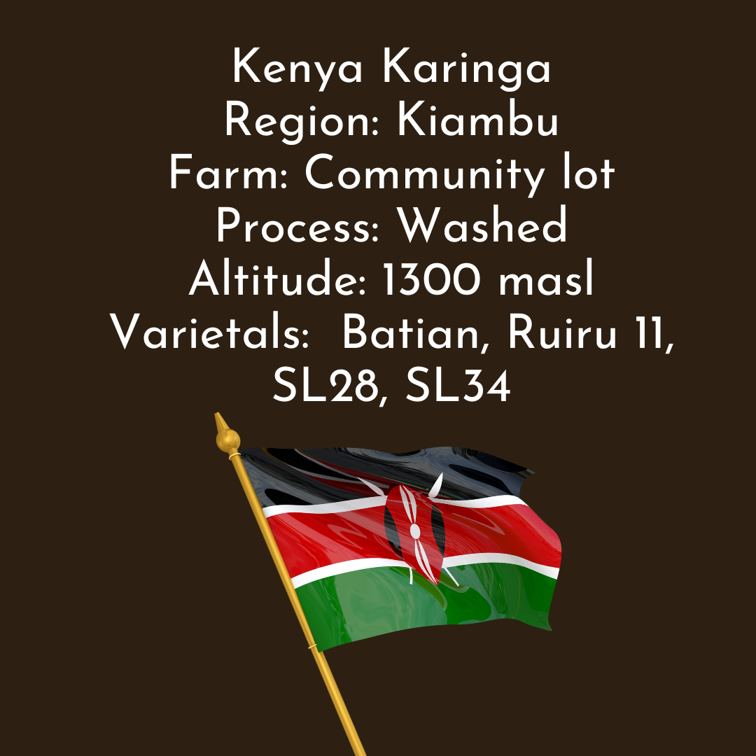 Kenya Karinga AA