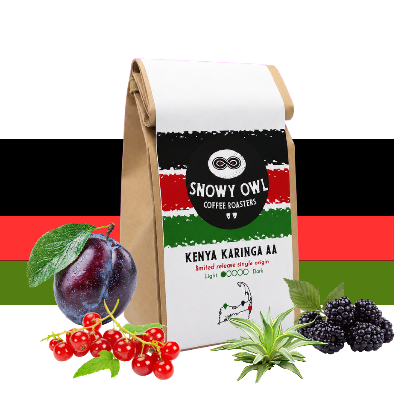 Snowy Owl Coffee Single Origin 3-Pack