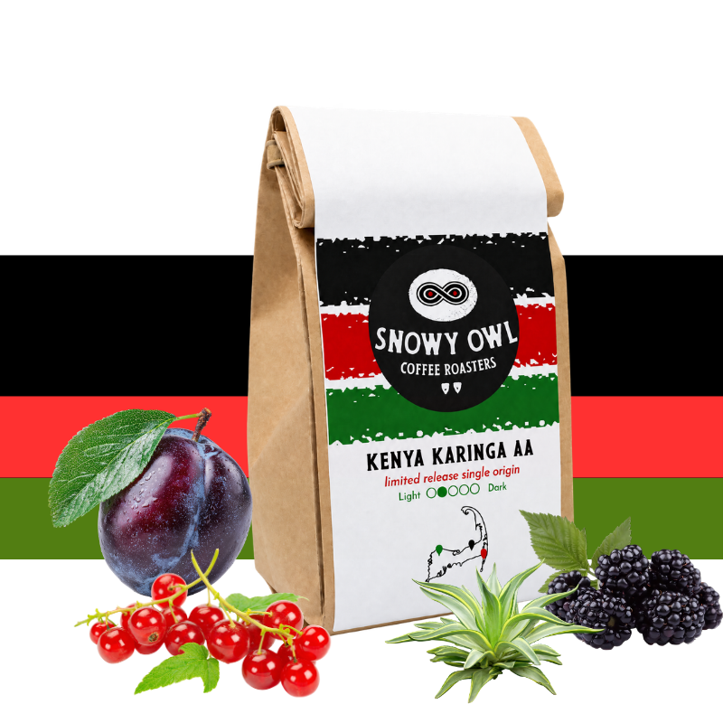 Kenya Karinga AA