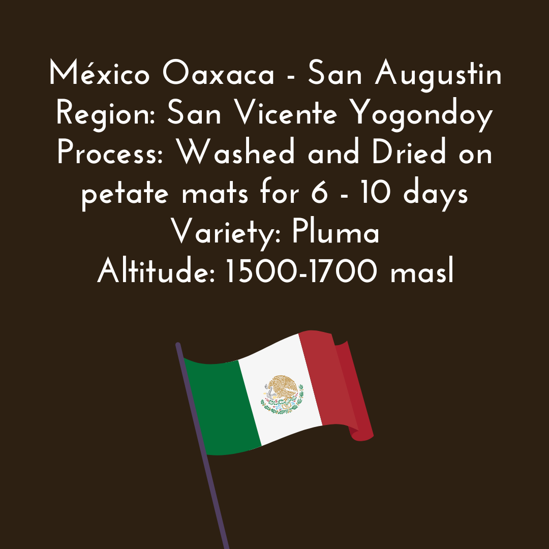 Mexico Oaxaca: San Agustin