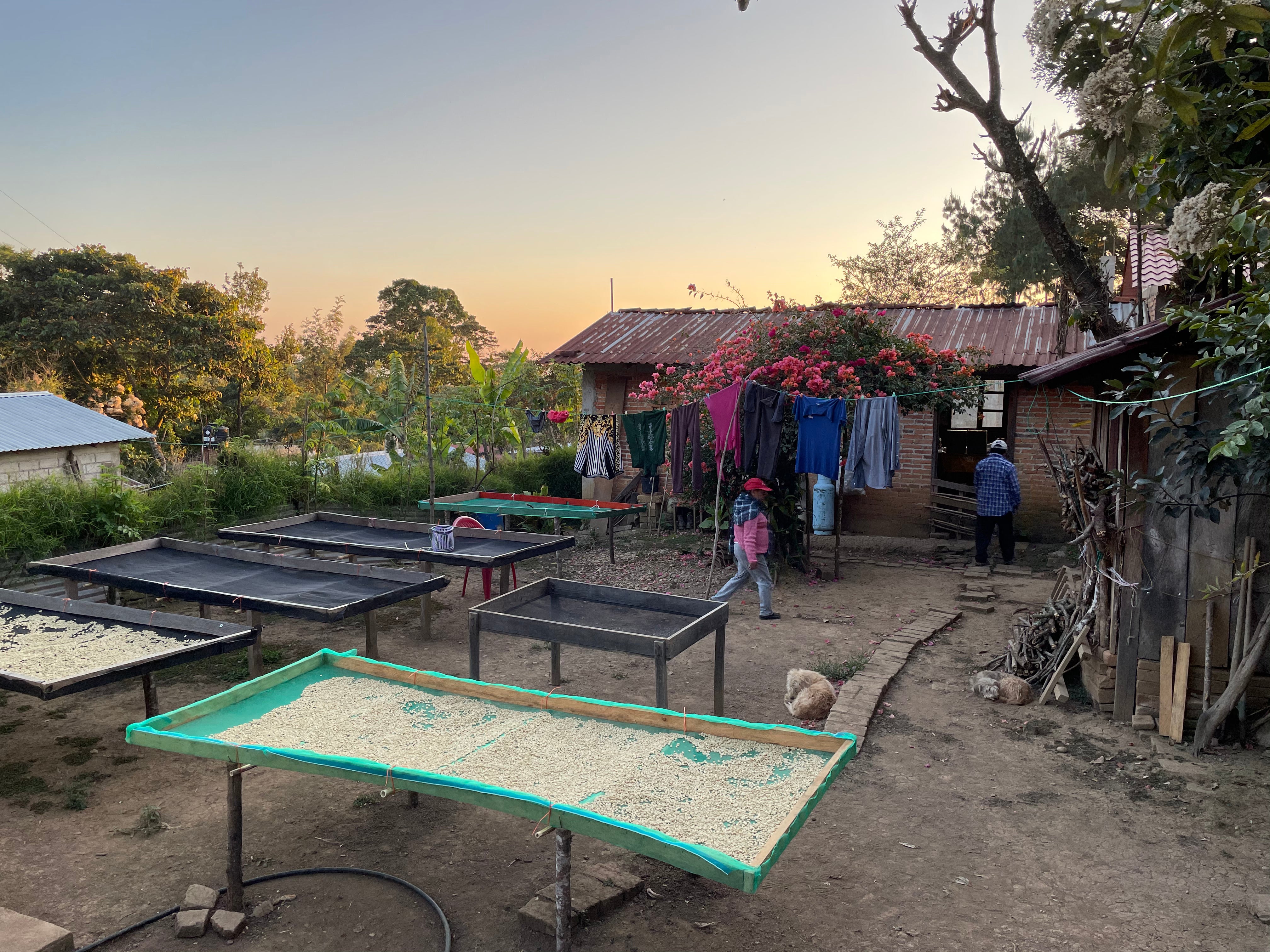 Mexico Oaxaca: San Agustin