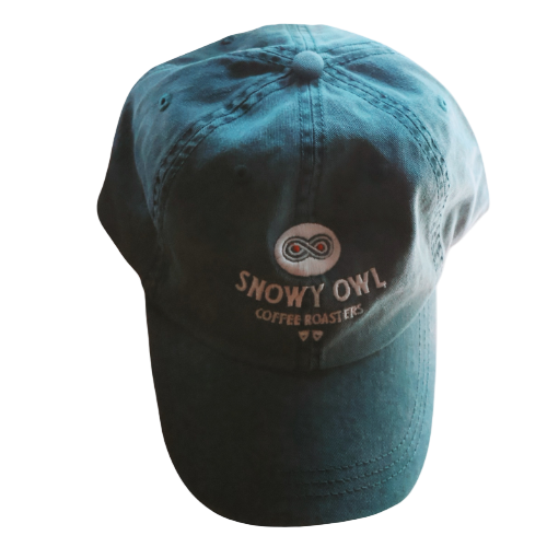 Teal Embroidered Hat