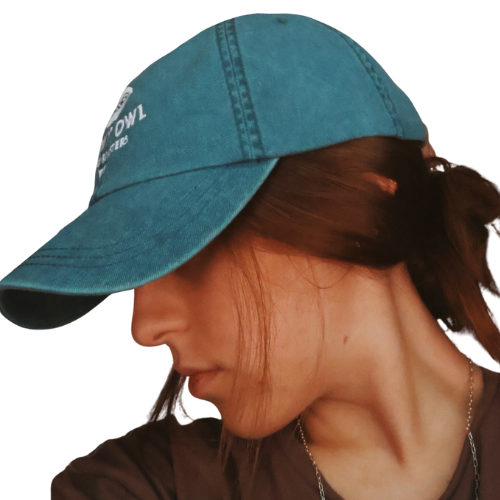 Teal Embroidered Hat