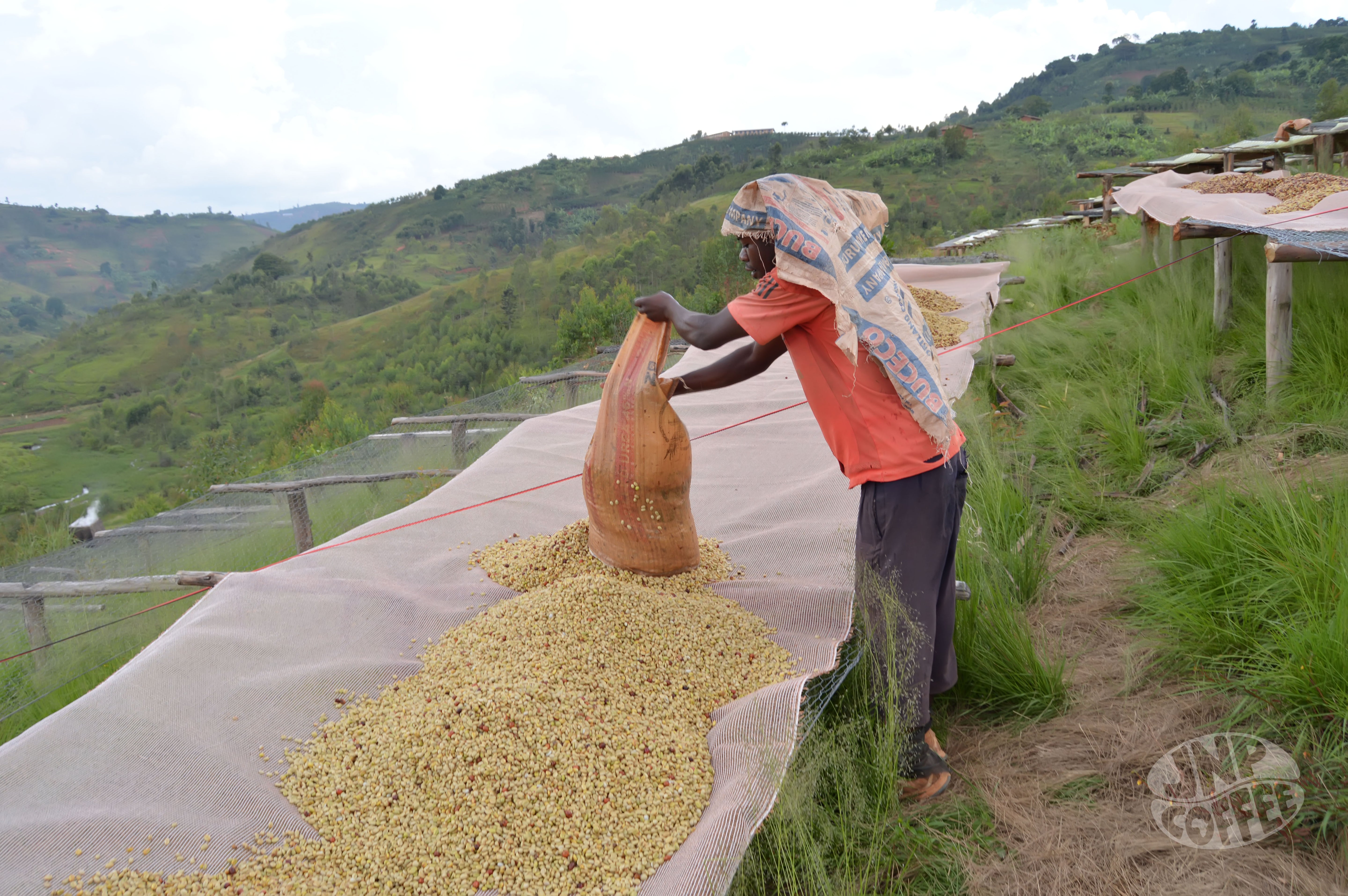 A Journey Through Burundi’s Coffee