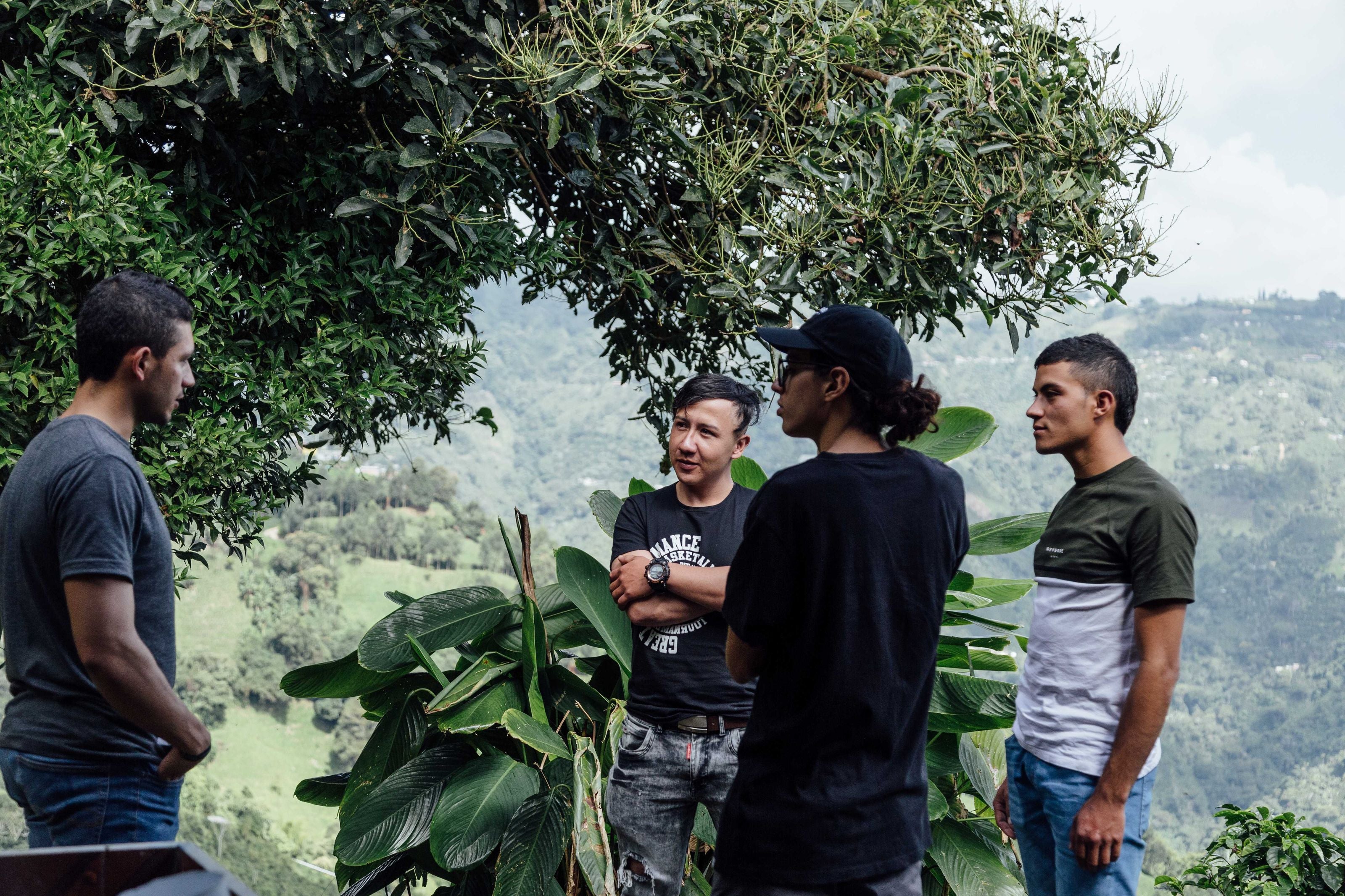 Hearthside Cinnamon Cofermented