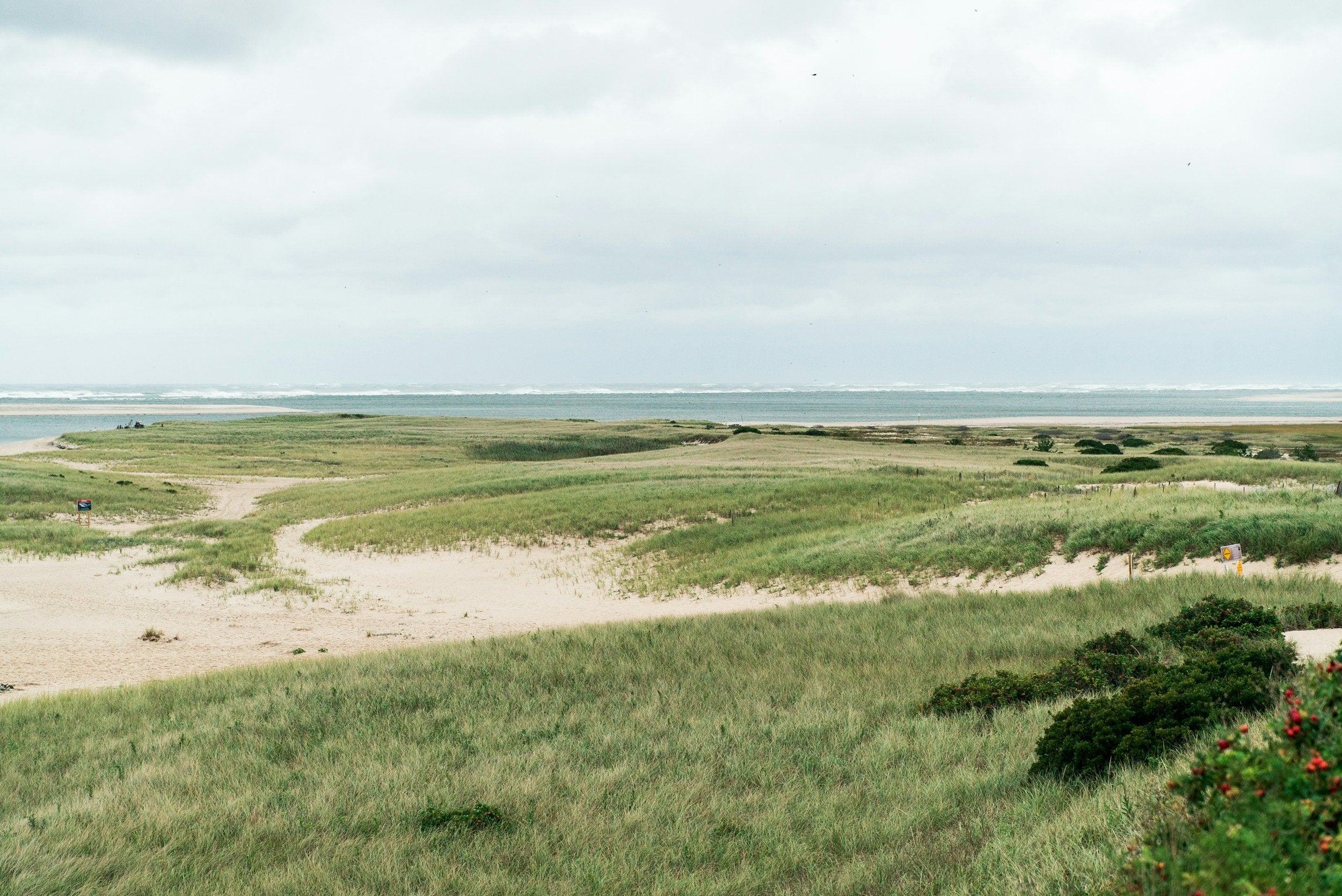 Just minutes from our Chatham cafe, breathtaking Cape Cod dunes meet the Atlantic, inspiring the rich flavors in our ethically sourced coffee beans and signature espresso blends.